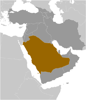 Saudi-Arabien Lage Arabien